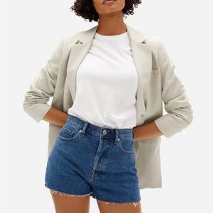 Everlane cheeky jean shorts with distressing